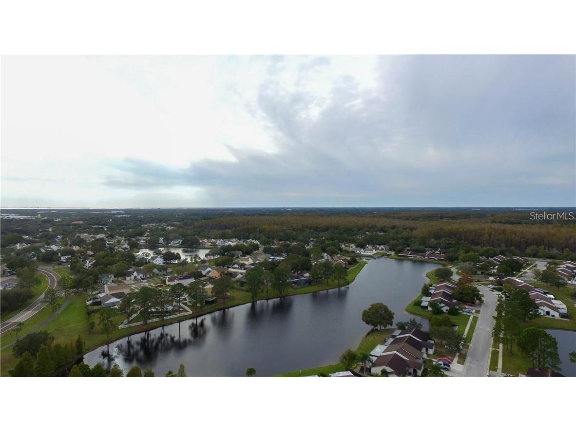 11401 Waveland Way Tampa FL 33624 TB8475044 image21