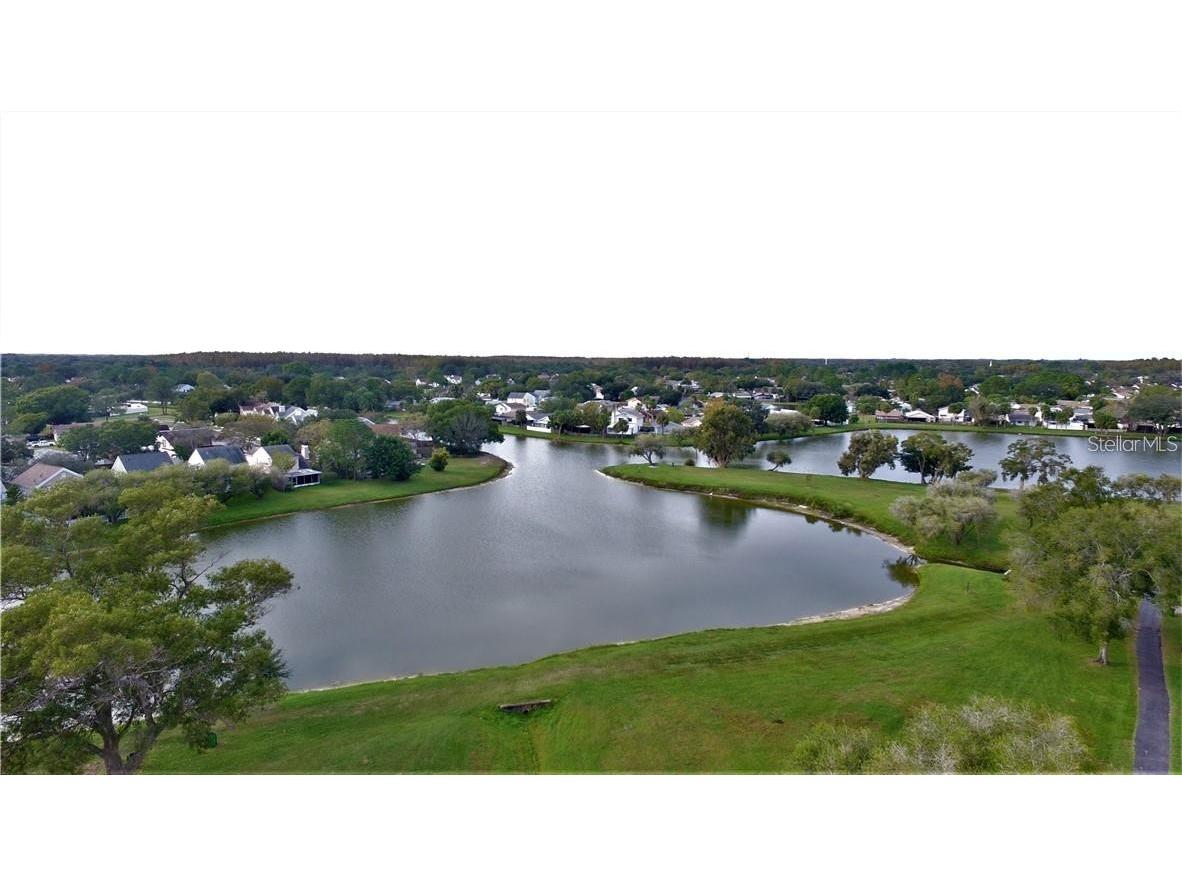 11401 Waveland Way Tampa FL 33624 TB8475044 image25