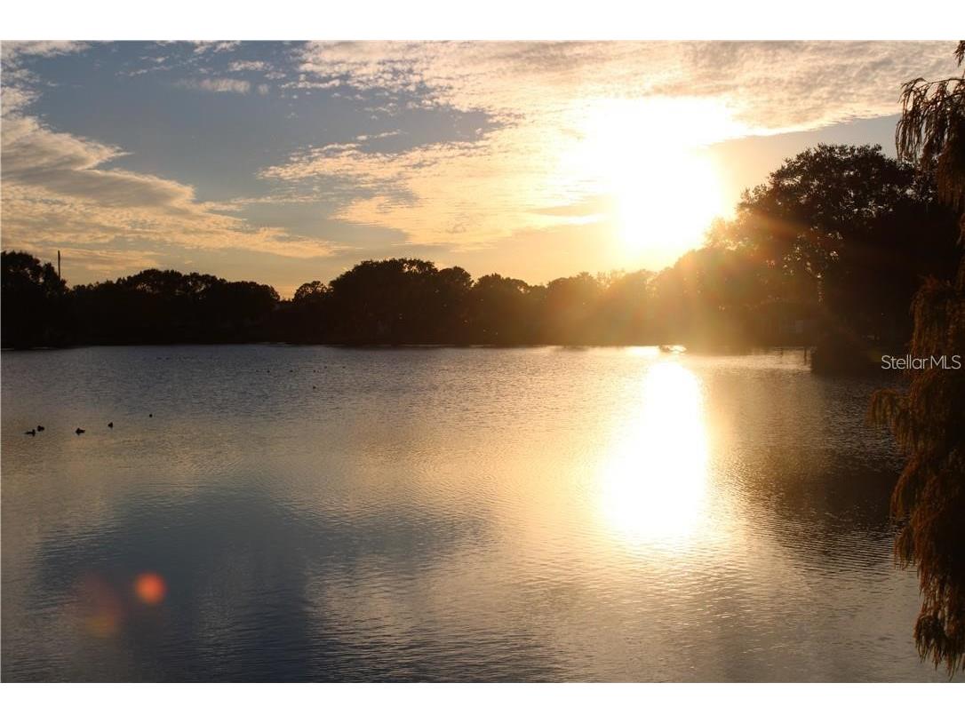 11401 Waveland Way Tampa FL 33624 TB8475044 image32