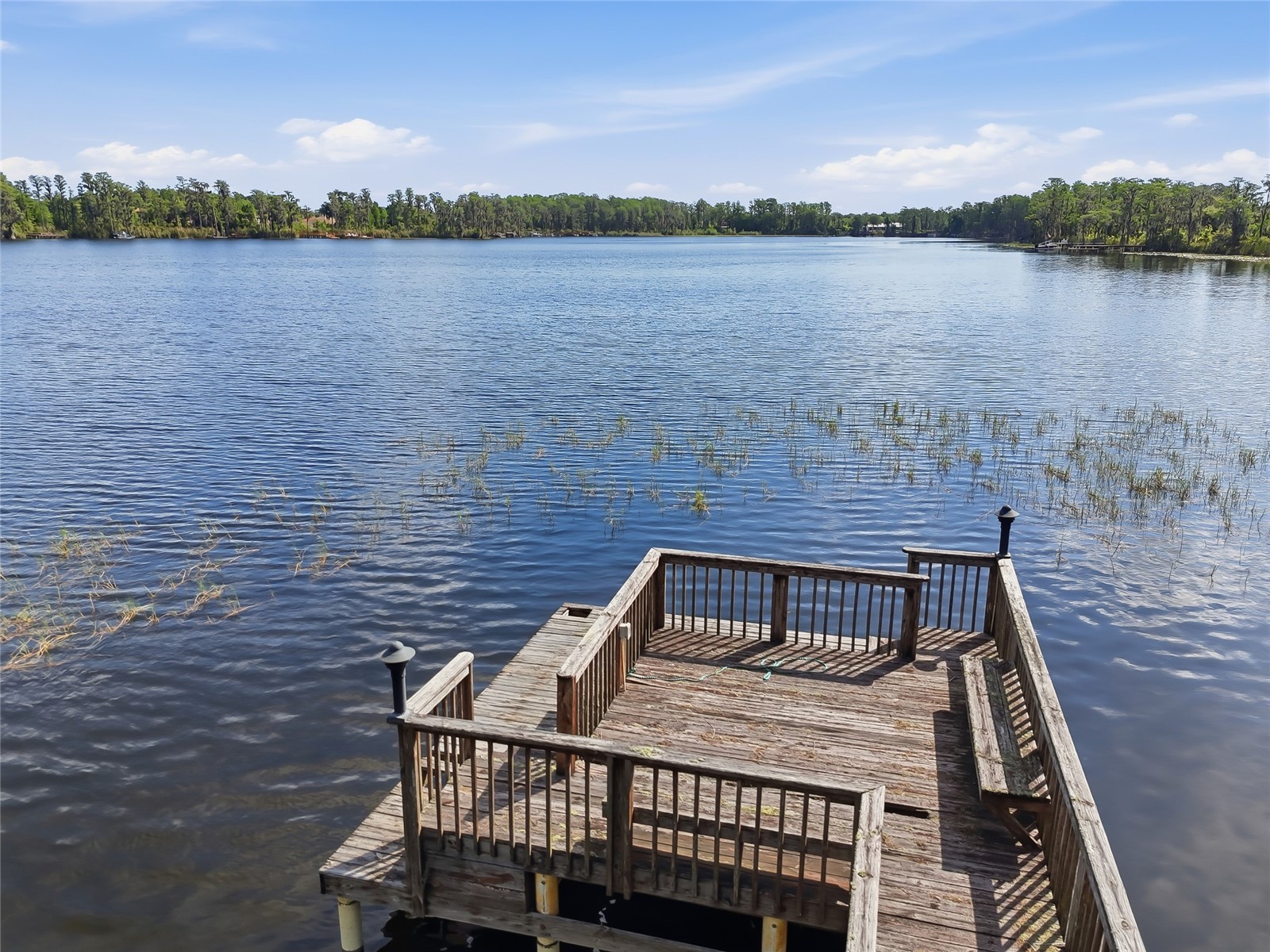 11403 Biddeford Place New Port Richey FL 34654 - WEST MOON LAKE W7884921 image64