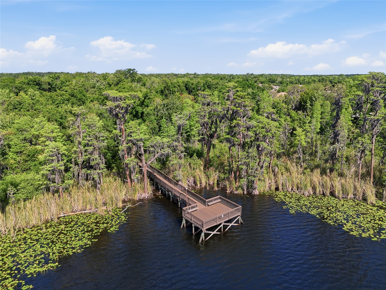 11403 Biddeford Place New Port Richey FL 34654 - WEST MOON LAKE W7884921 image65