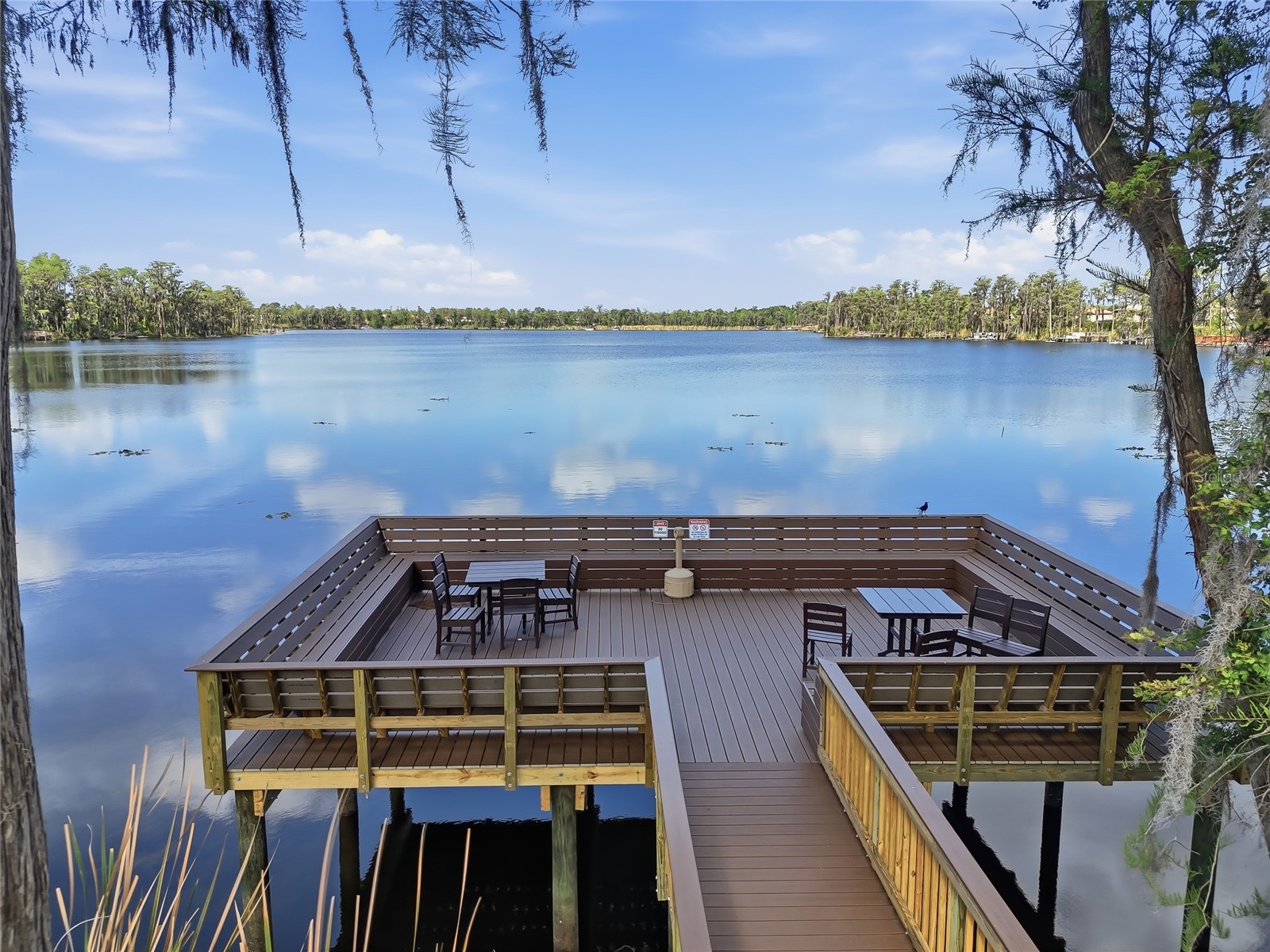 11403 Biddeford Place New Port Richey FL 34654 - WEST MOON LAKE W7884921 image71