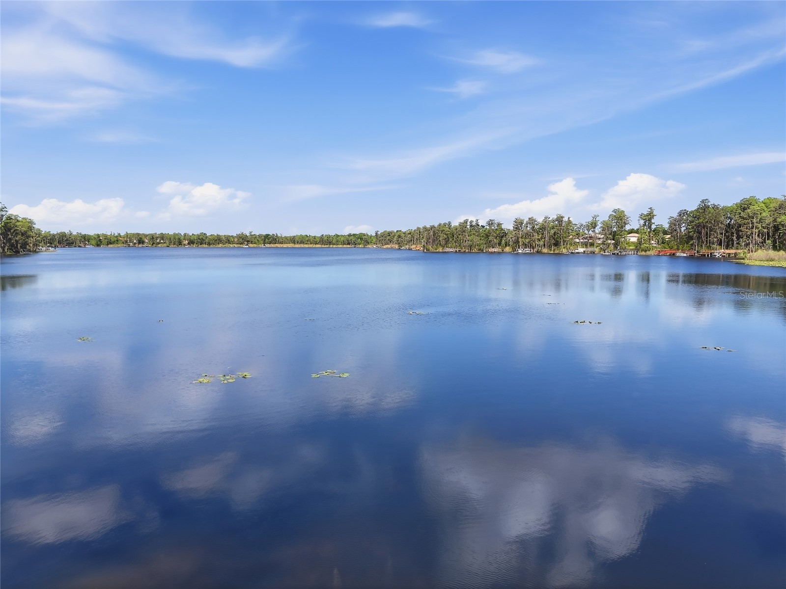 11403 Biddeford Place New Port Richey FL 34654 - WEST MOON LAKE W7884921 image73