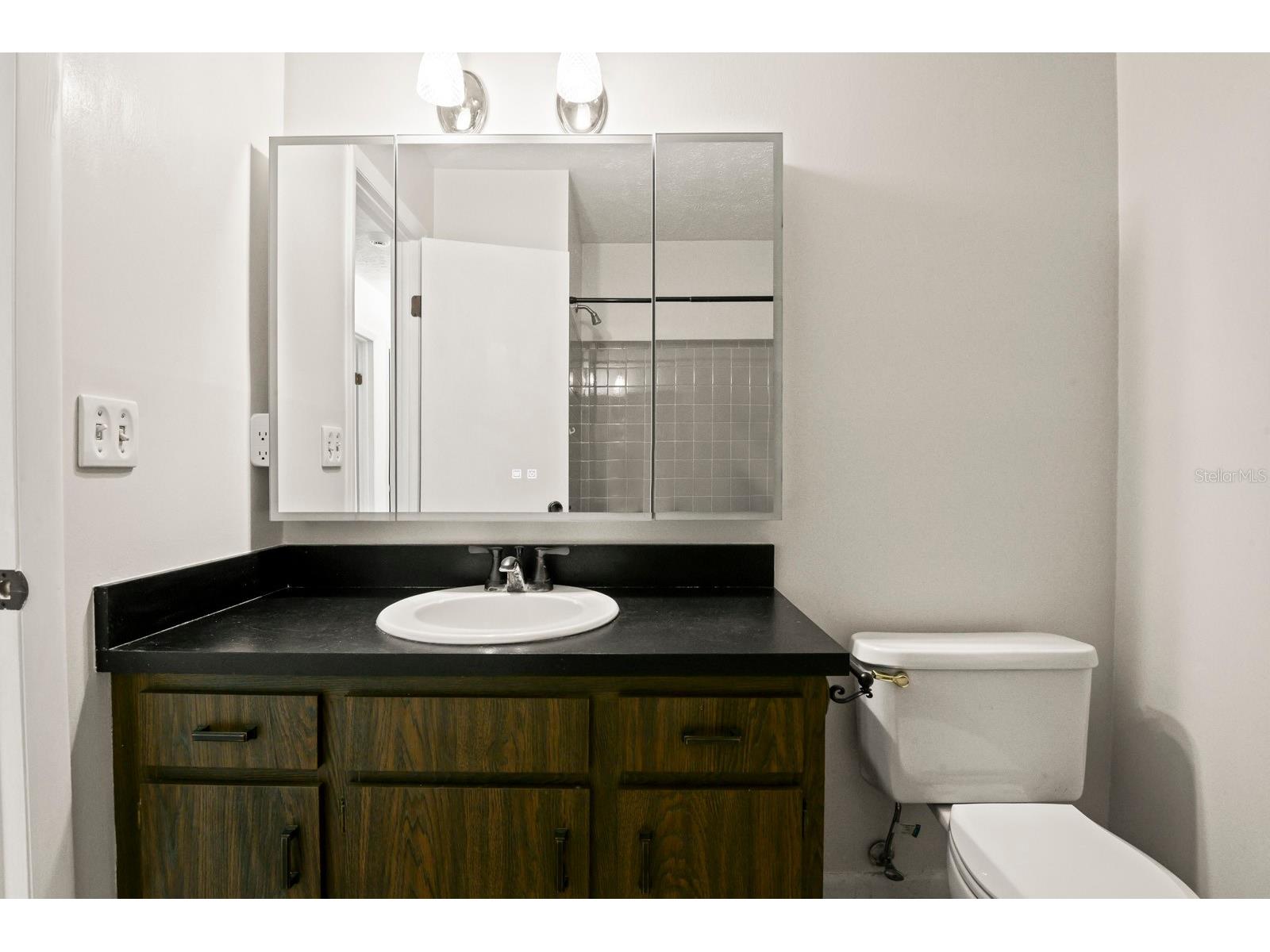11403 Fillmore Avenue Seffner FL 33584 TB8511207 image16