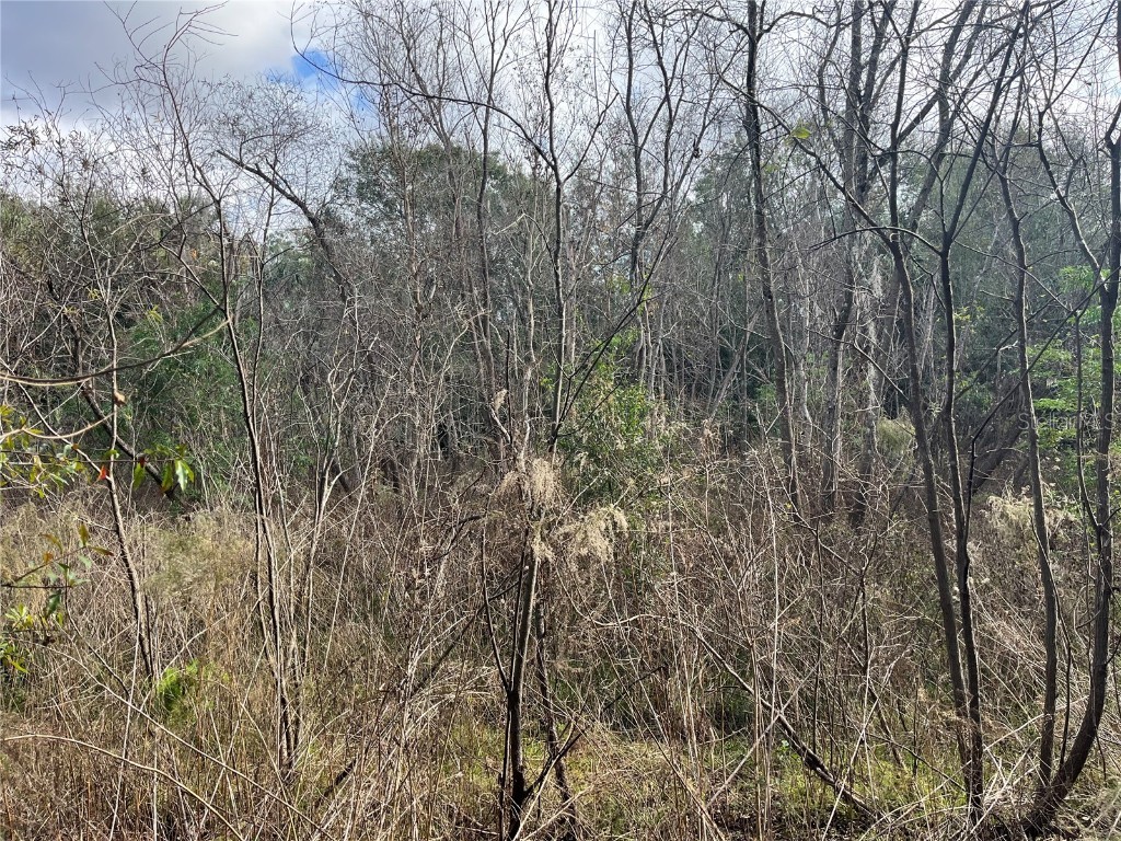 11403 N Lisette Path Dunnellon FL 34433 OM711600 image16