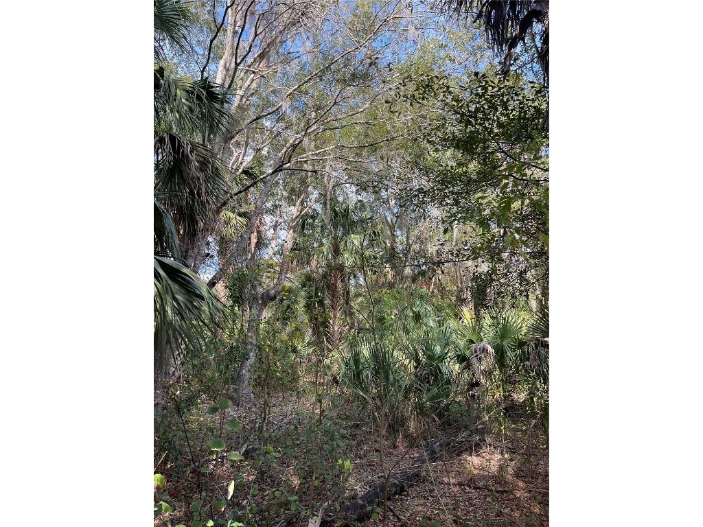 11403 N Lisette Path Dunnellon FL 34433 OM711600 image17