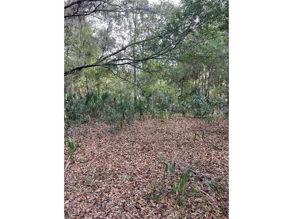 11403 N Lisette Path Dunnellon FL 34433 OM711600 image6