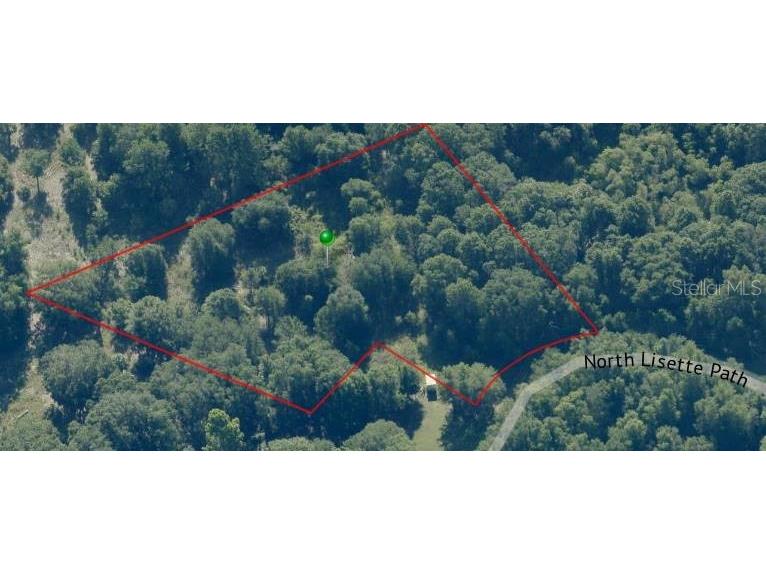 11403 N Lisette Path Dunnellon FL 34433 OM711600 image8