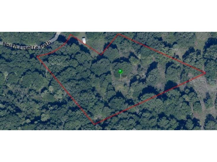 11403 N Lisette Path Dunnellon FL 34433 OM711600 image9