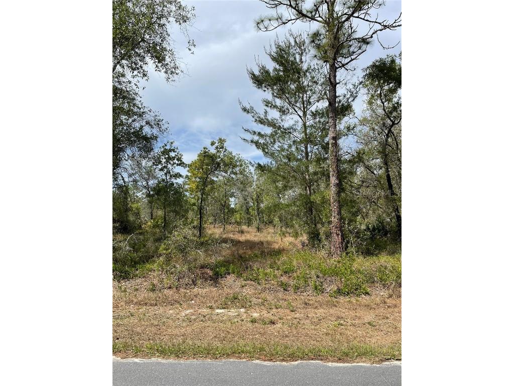 11403 Poorwill Avenue Weeki Wachee FL 34614 W7854248 image1