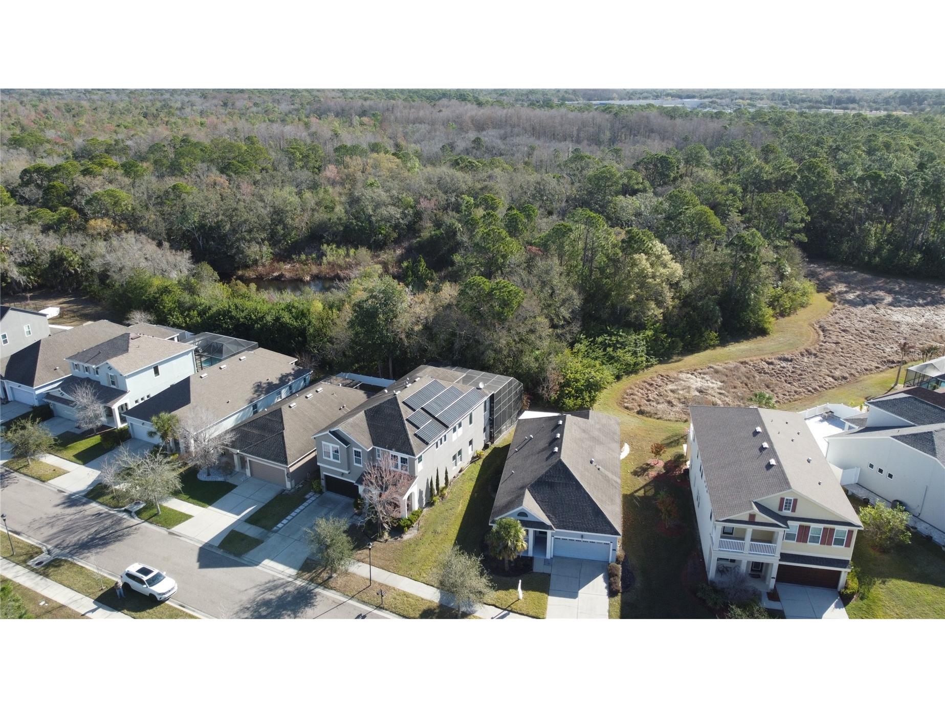 11403 Quiet Forest Drive Tampa FL 33635 TB8480409 image47
