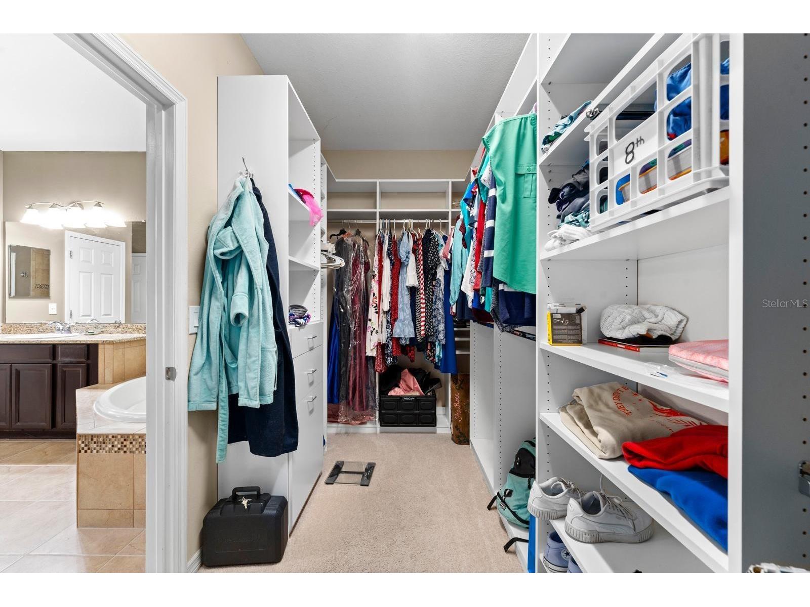 11403 Scribner Station Lane Lithia FL 33547 TB8494734 image20