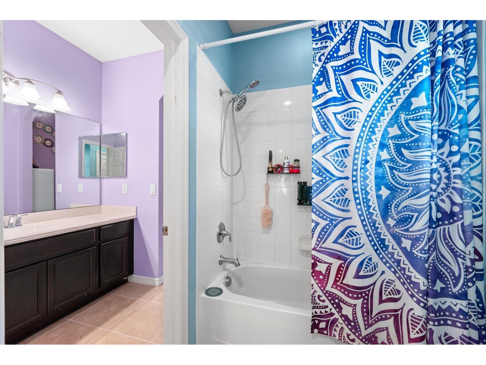 11403 Scribner Station Lane Lithia FL 33547 TB8494734 image23