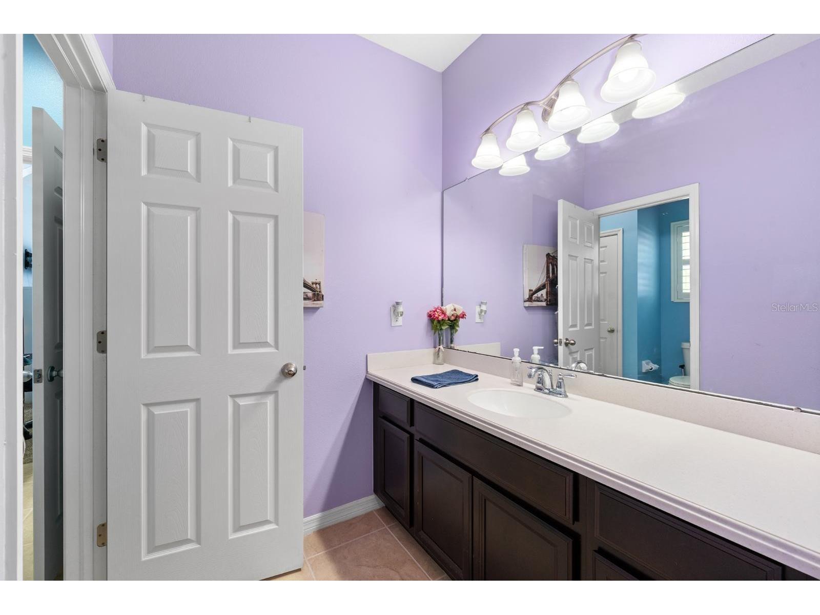 11403 Scribner Station Lane Lithia FL 33547 TB8494734 image25