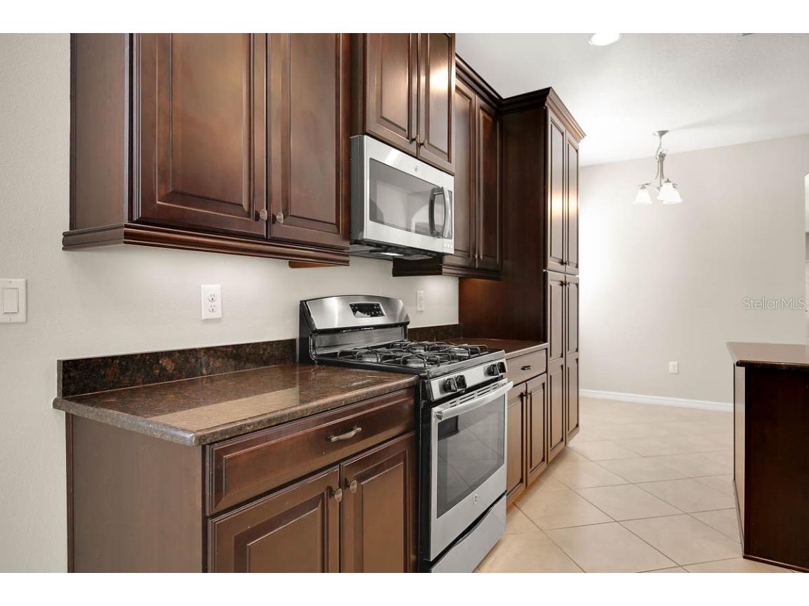 11403 Thames Fare Way Lithia FL 33547 TB8446657 image13