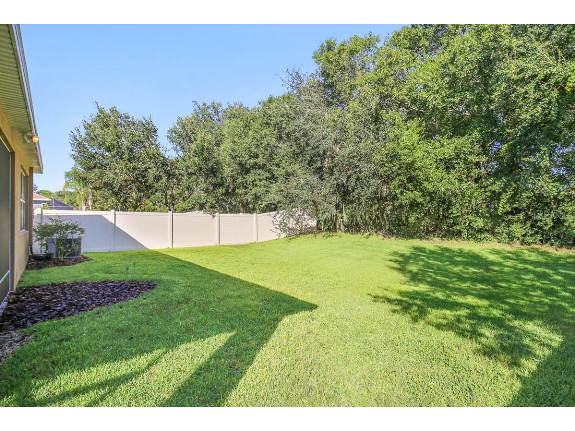 11403 Thames Fare Way Lithia FL 33547 TB8446657 image34