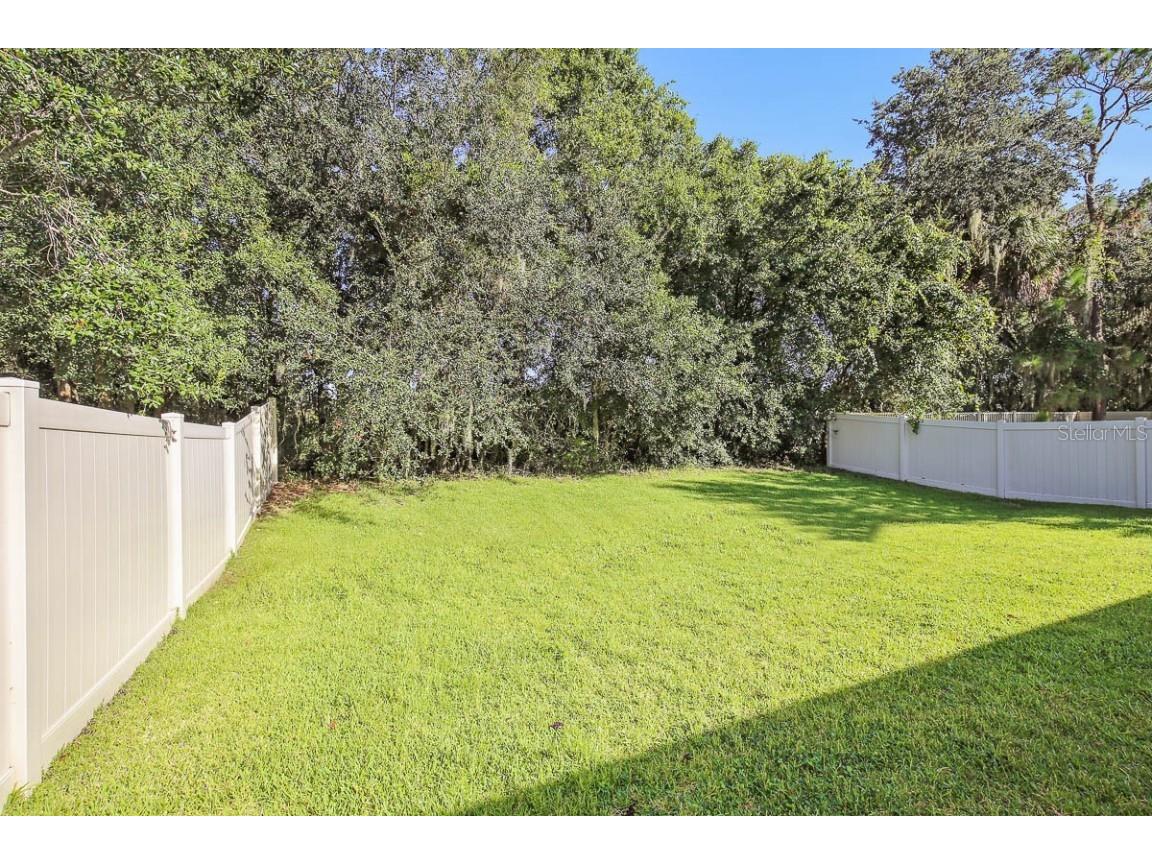 11403 Thames Fare Way Lithia FL 33547 TB8446657 image35