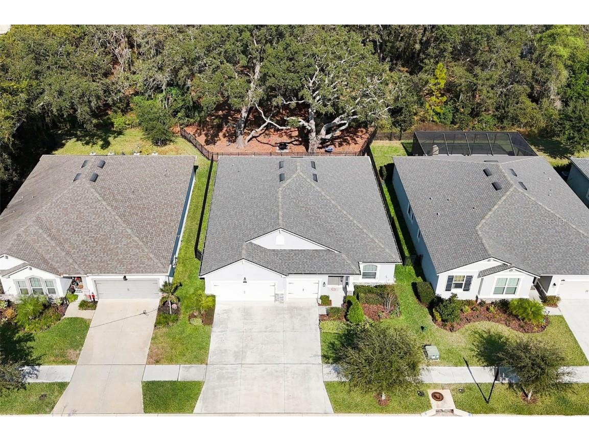 11404 Blue Woods Drive Riverview FL 33569 TB8451637 image3