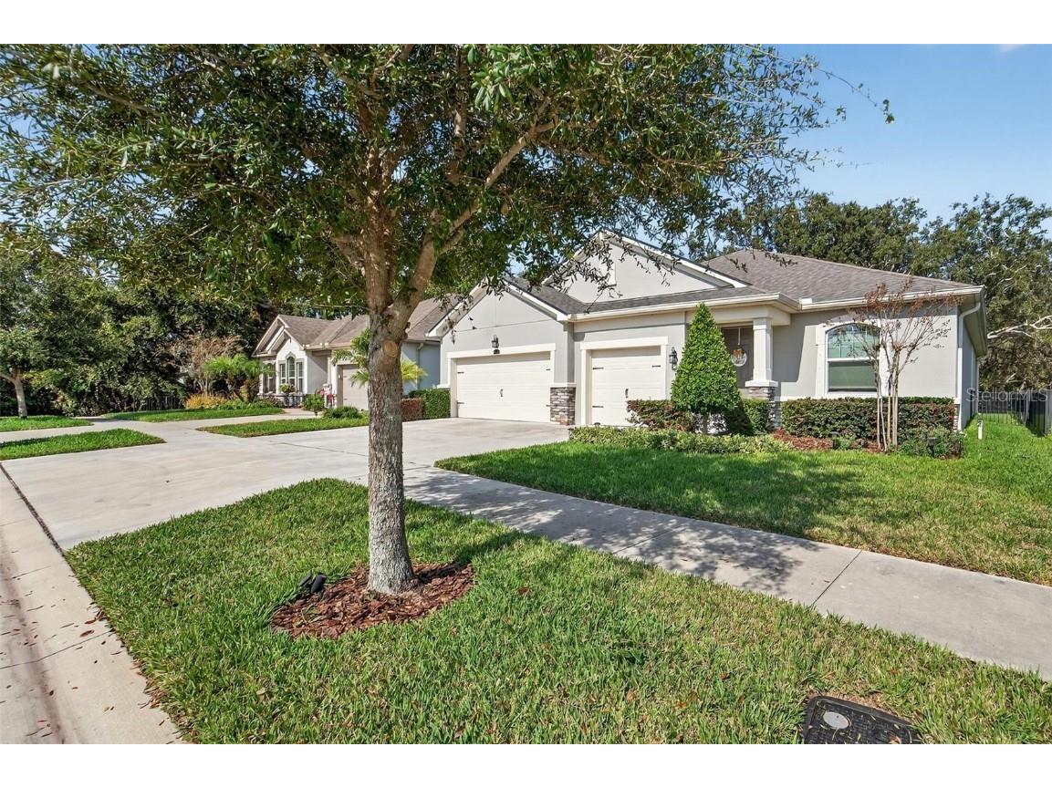 11404 Blue Woods Drive Riverview FL 33569 TB8451637 image35