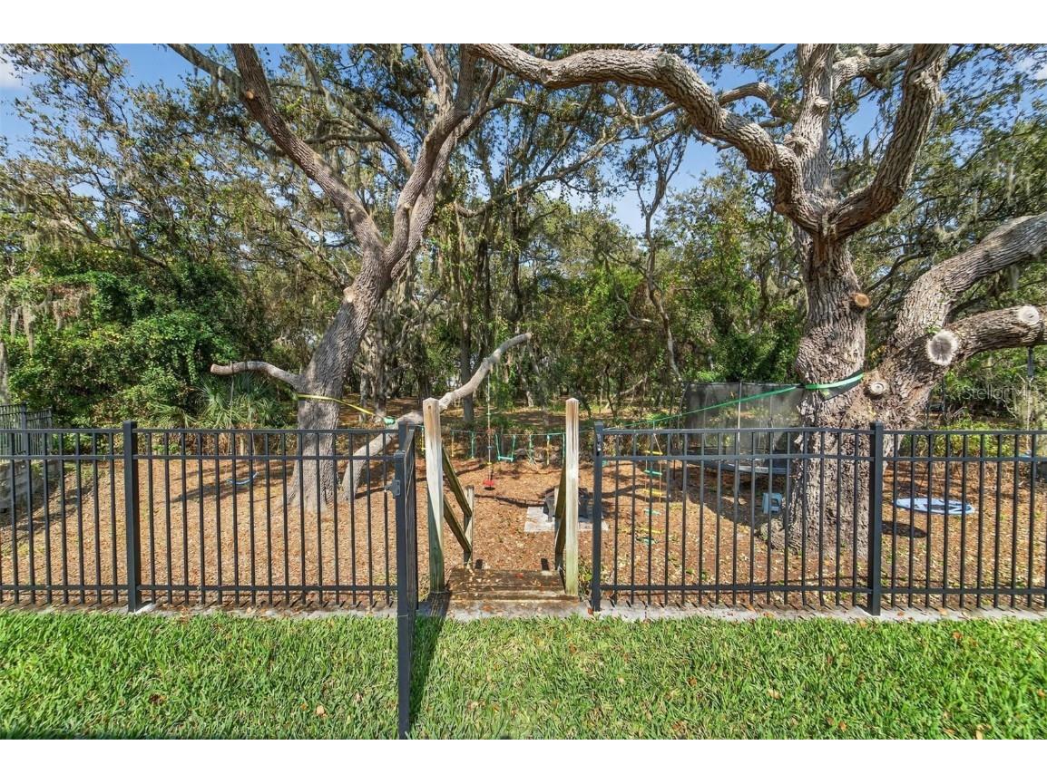 11404 Blue Woods Drive Riverview FL 33569 TB8451637 image4