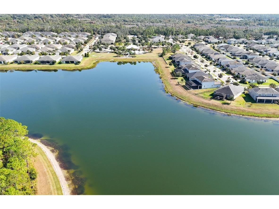 11404 Blue Woods Drive Riverview FL 33569 TB8451637 image41