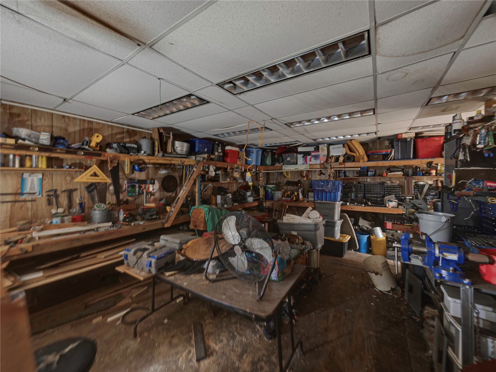 11404 Lithia Pinecrest Road Lithia FL 33547 O6402924 image57