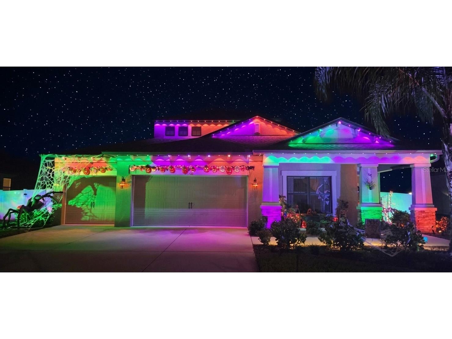 11405 Carlton Fields Drive Riverview FL 33579 TB8495821 image57