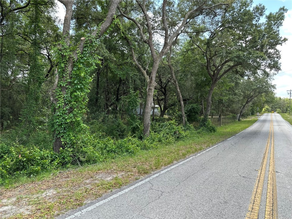 11405 E Trails End Road Floral City FL 34436 T3446077 image1
