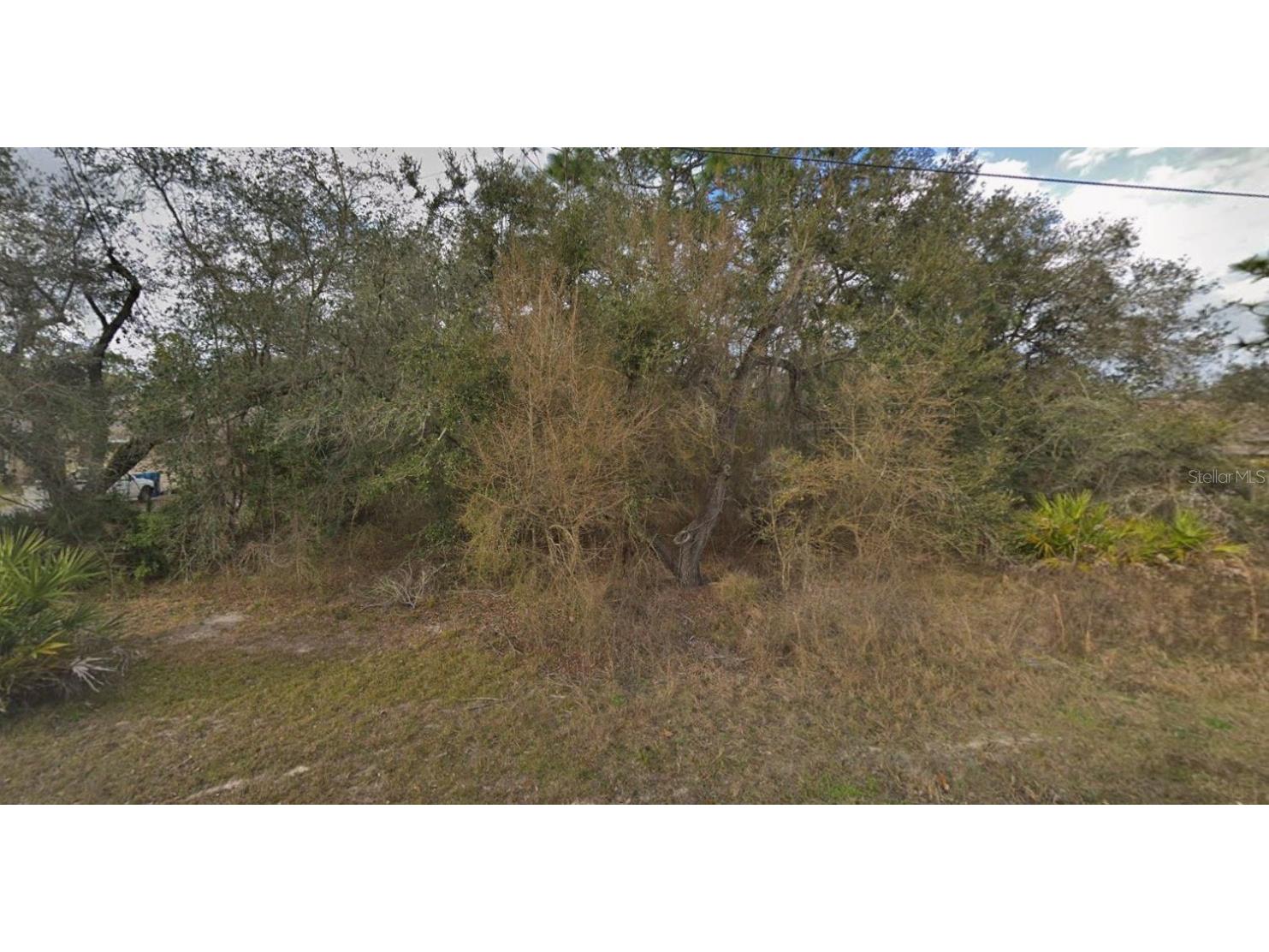 11405 Petrel Avenue Weeki Wachee FL 34614 TB8436226 image1