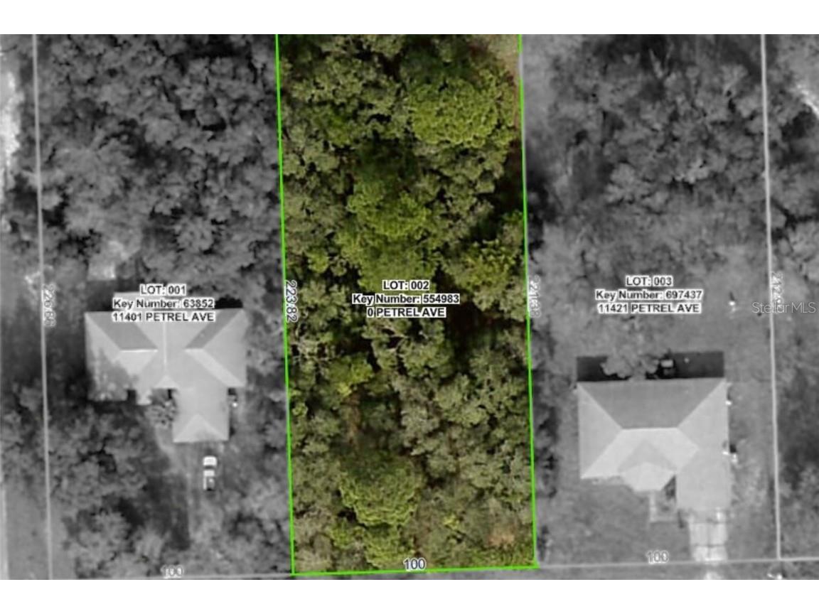 11405 Petrel Avenue Weeki Wachee FL 34614 TB8436226 image2