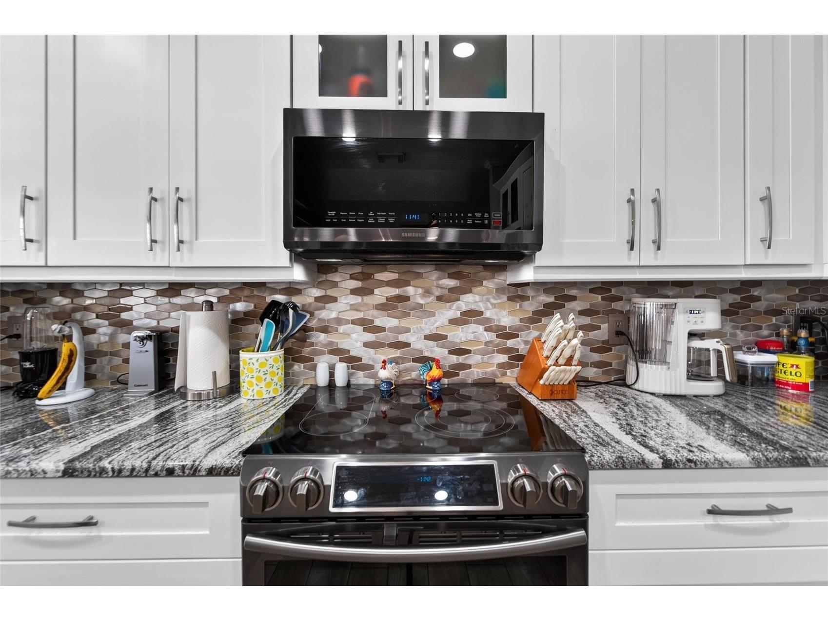 11405 Village Brook Drive Riverview FL 33579 TB8525812 image34