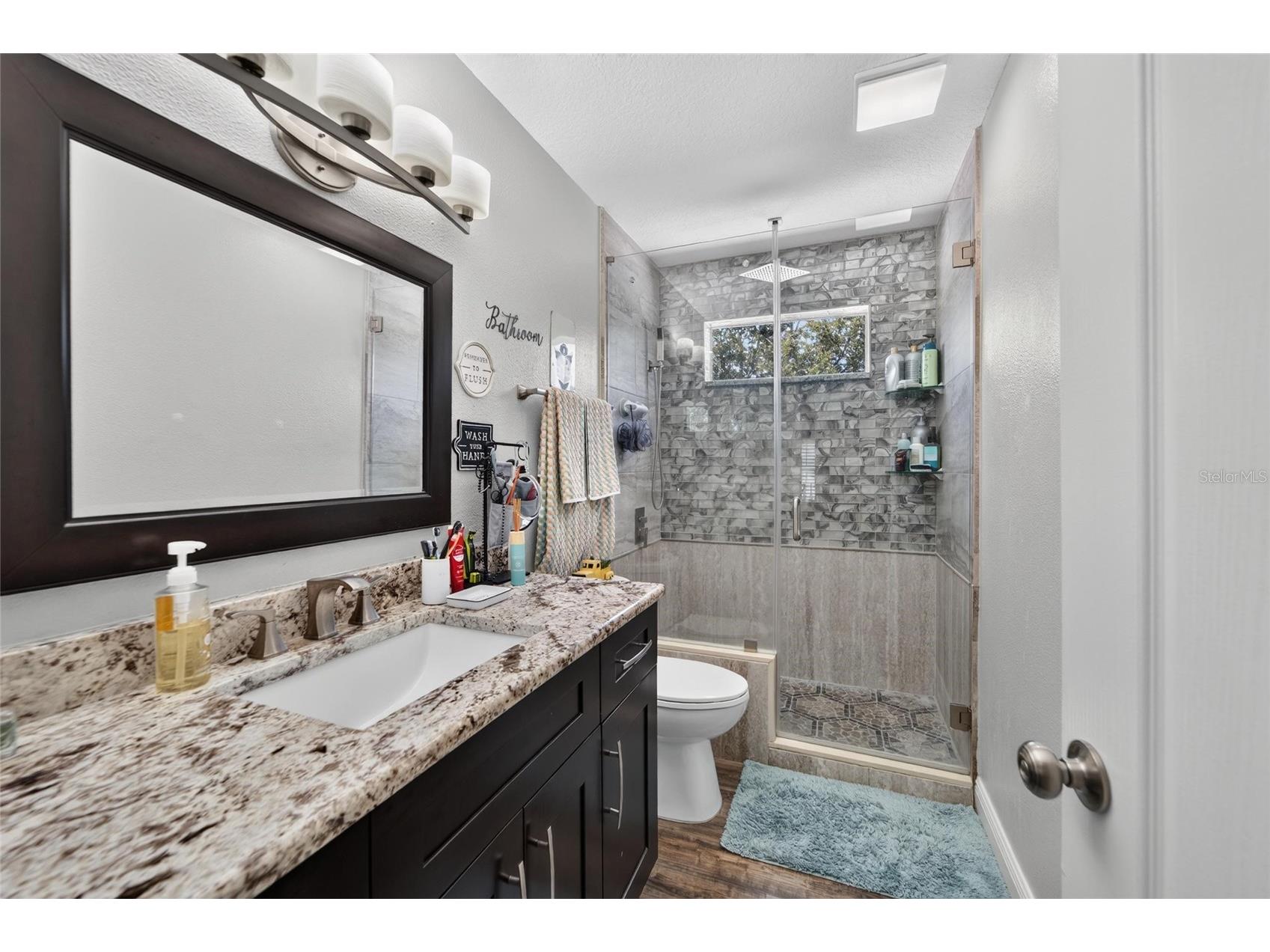 11405 Village Brook Drive Riverview FL 33579 TB8525812 image50