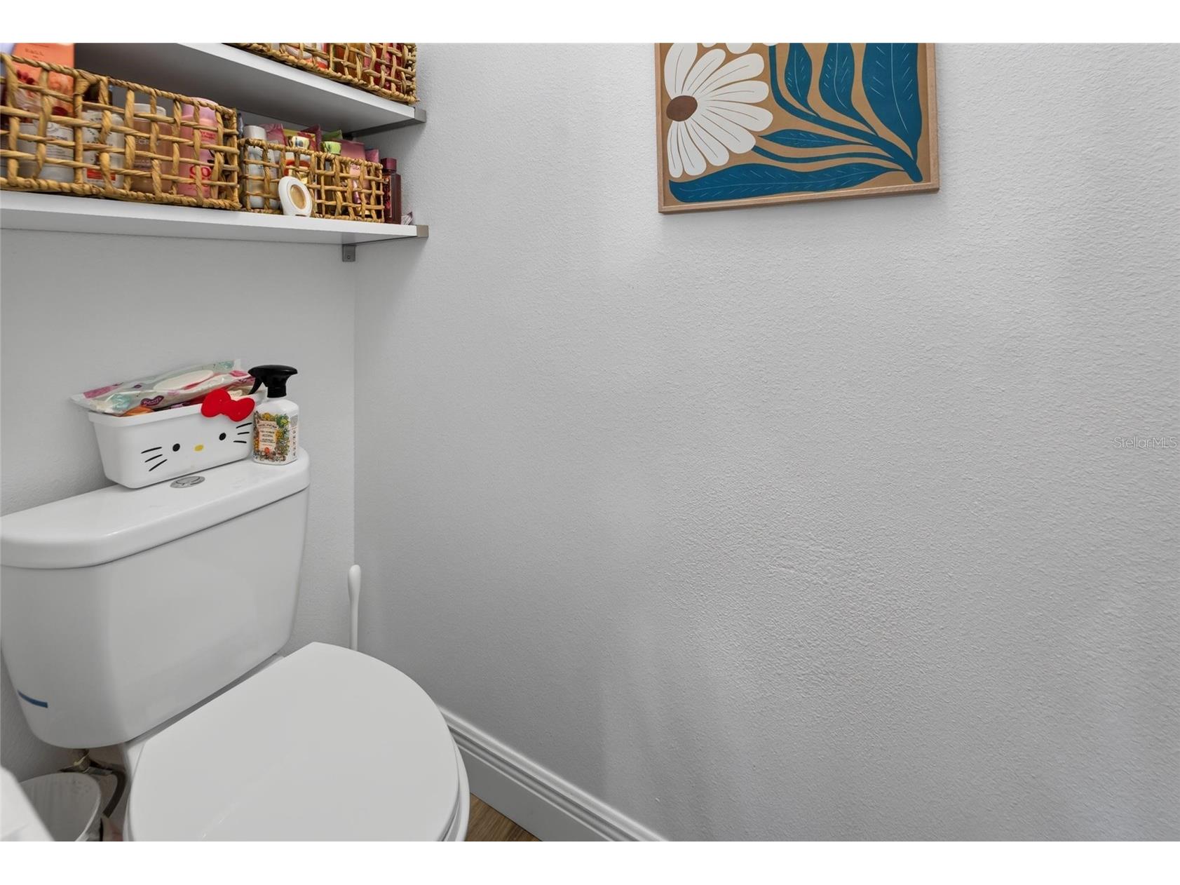 11405 Village Brook Drive Riverview FL 33579 TB8525812 image66