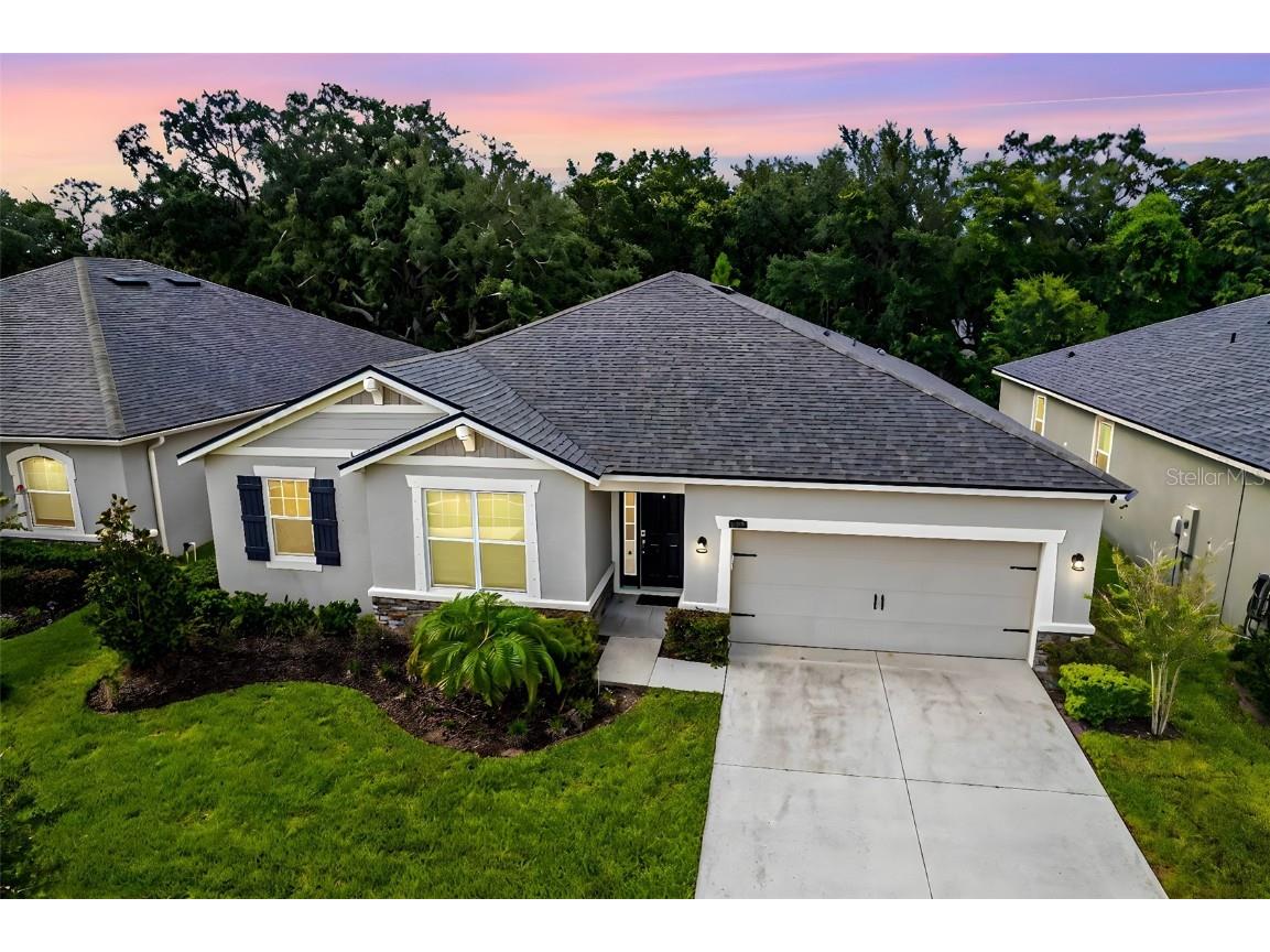 11406 Blue Woods Drive Riverview FL 33569 T3545461 image1