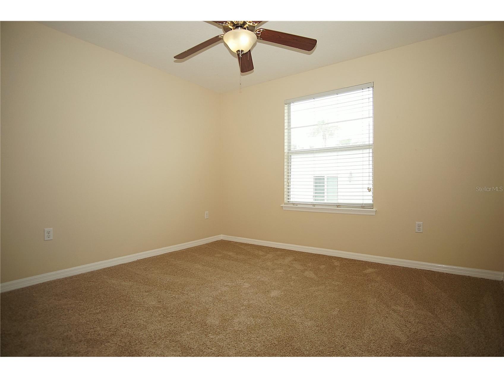 11406 Marbella Terrace Street Tampa FL 33637 TB8510459 image18