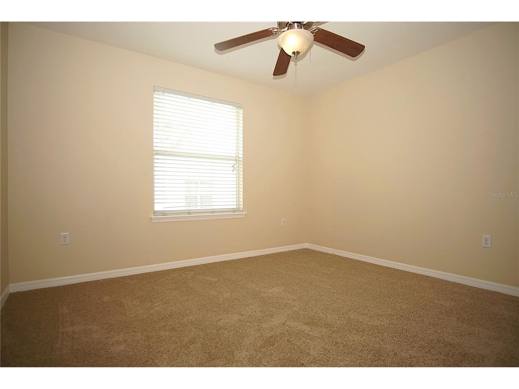 11406 Marbella Terrace Street Tampa FL 33637 TB8510459 image22