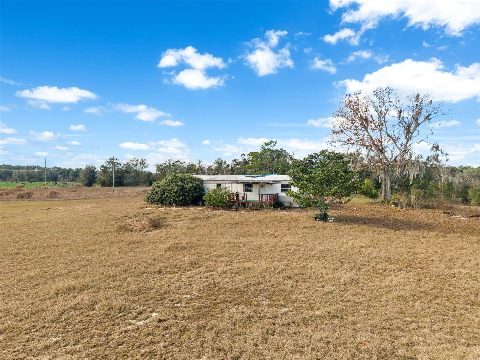 11406 SW 274th Street Newberry FL 32669 GC530278 image7