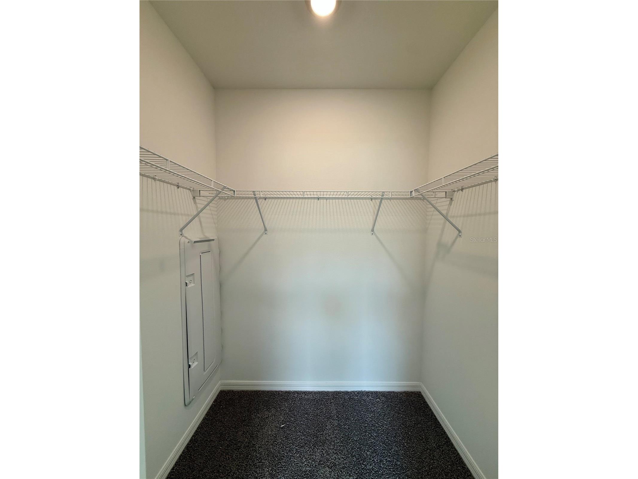 11406 Velvet Apricot Drive Land O Lakes FL 34638 TB8476991 image12