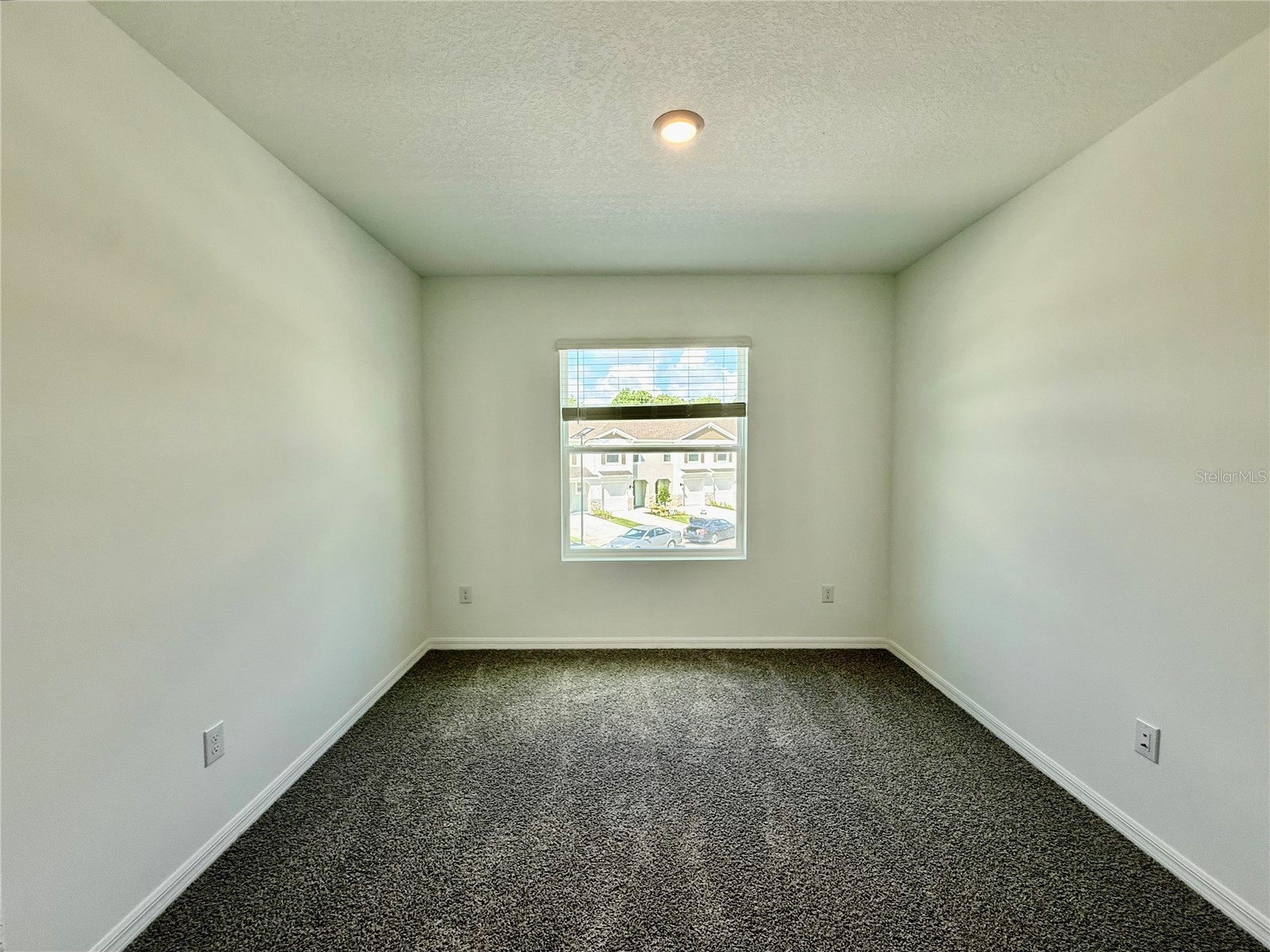 11406 Velvet Apricot Drive Land O Lakes FL 34638 TB8476991 image16