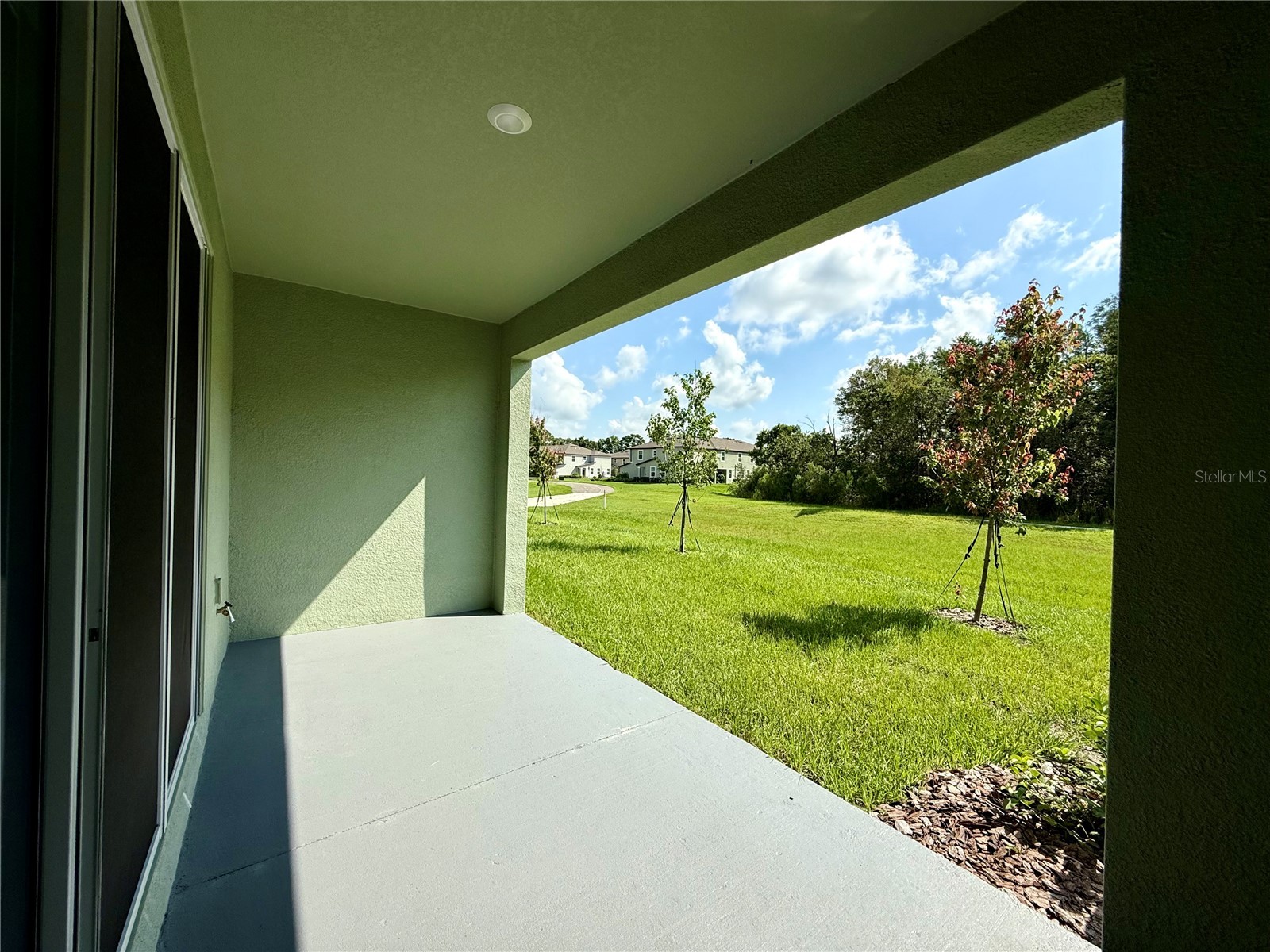 11406 Velvet Apricot Drive Land O Lakes FL 34638 TB8476991 image21