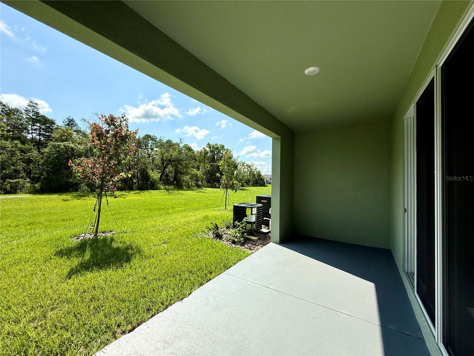 11406 Velvet Apricot Drive Land O Lakes FL 34638 TB8476991 image22