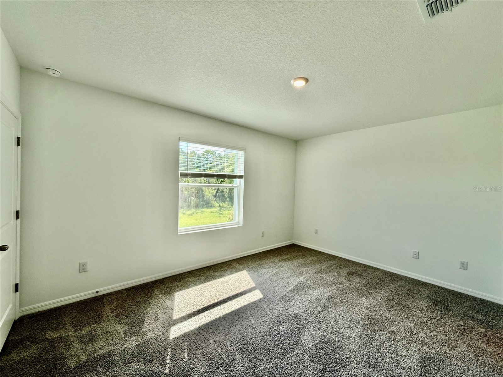 11406 Velvet Apricot Drive Land O Lakes FL 34638 TB8476991 image9