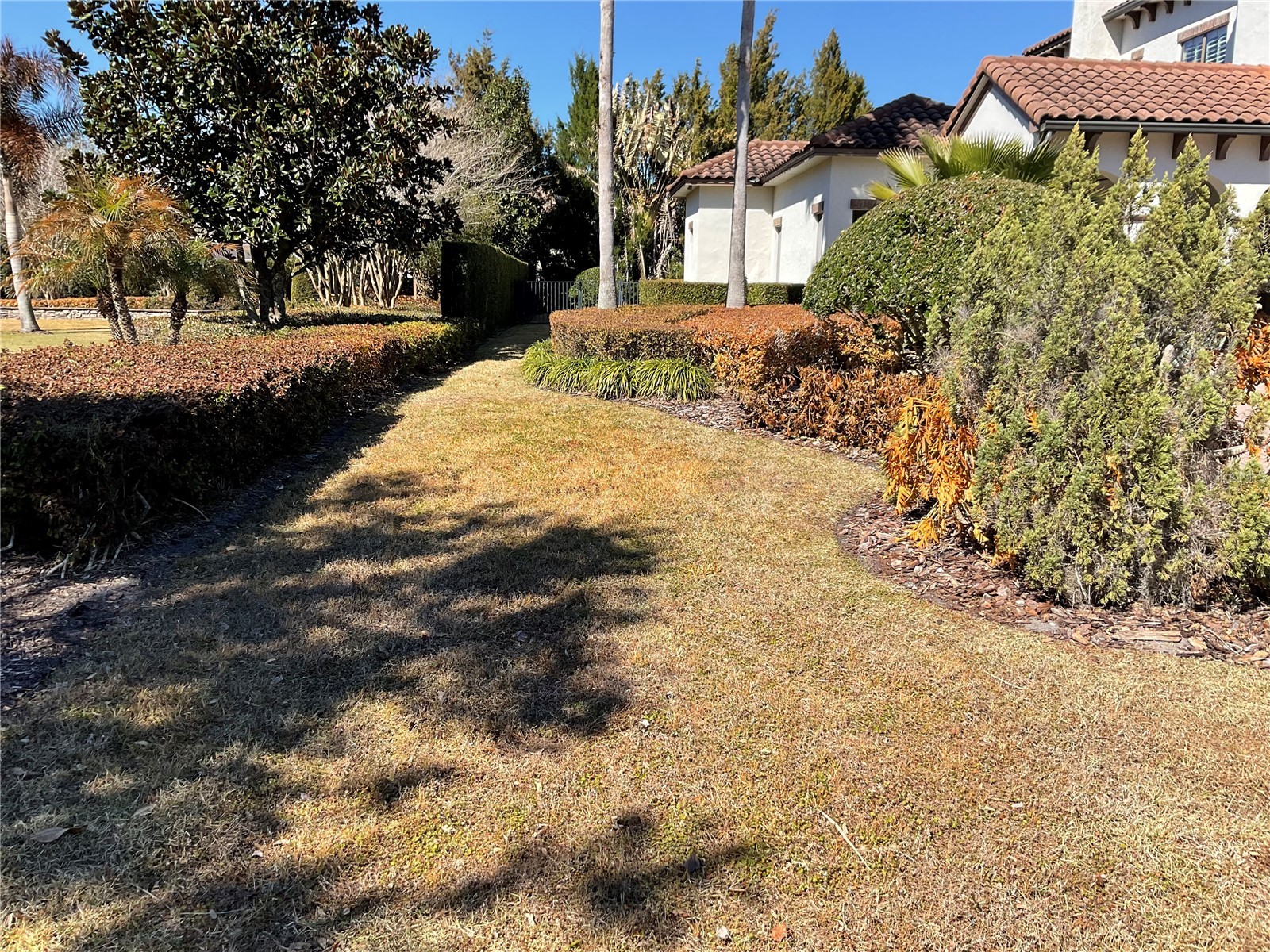 11406 Waterstone Loop Drive Windermere FL 34786 O6412522 image8