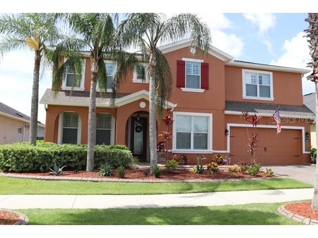11407 Lake Lucaya Drive Riverview FL 33579 T3506231 image1