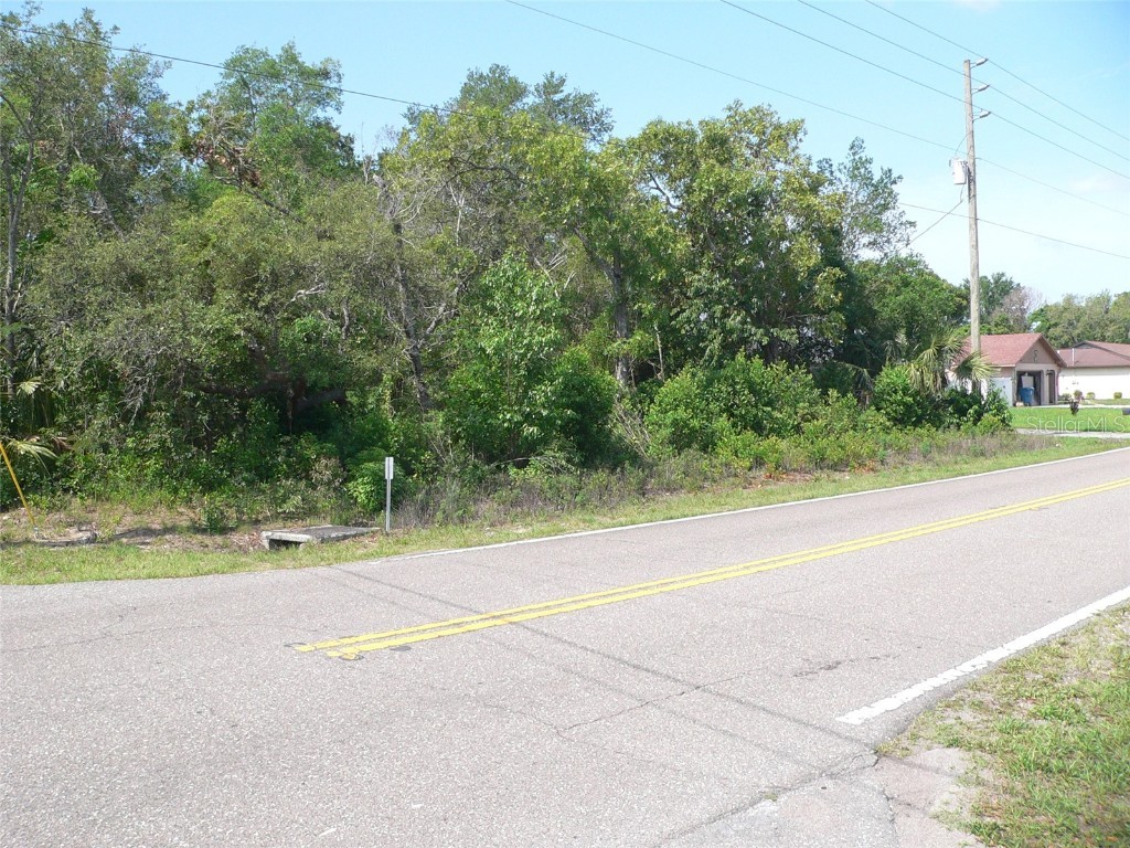 11407 Linden Drive Spring Hill FL 34608 TB8384391 image1