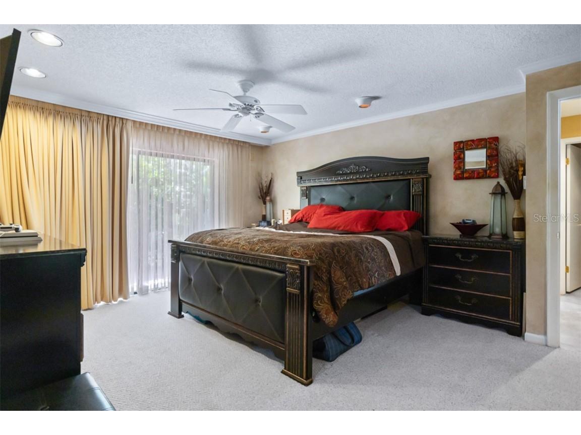 11407 Orilla Del Rio Place Temple Terrace FL 33617 - HILLSBOROUGH RIVER TB8414686 image12