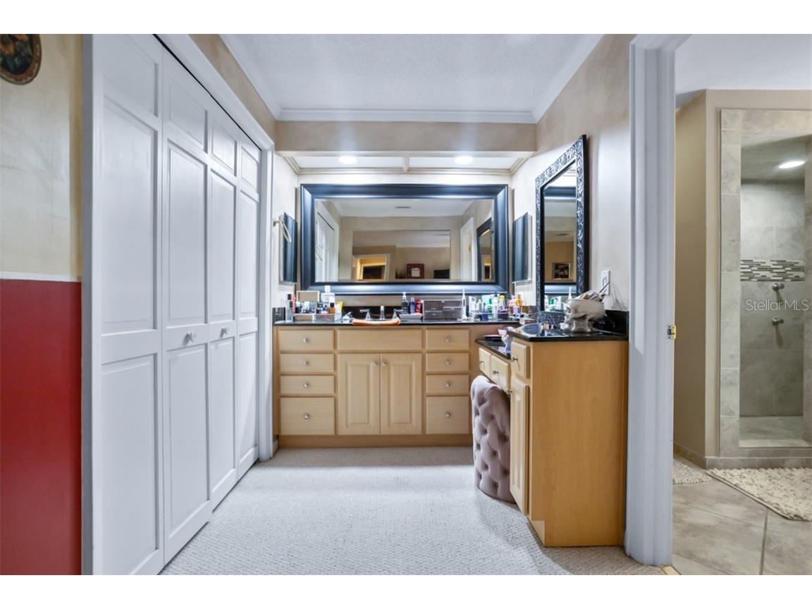 11407 Orilla Del Rio Place Temple Terrace FL 33617 - HILLSBOROUGH RIVER TB8414686 image13