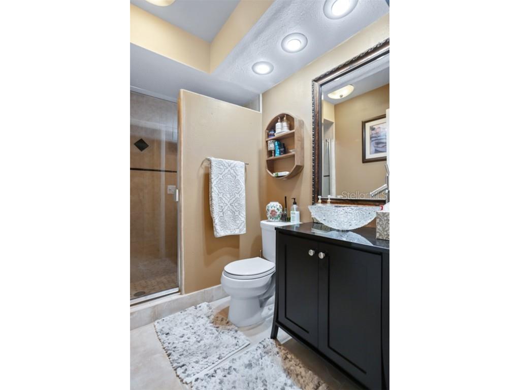 11407 Orilla Del Rio Place Temple Terrace FL 33617 - HILLSBOROUGH RIVER TB8414686 image19