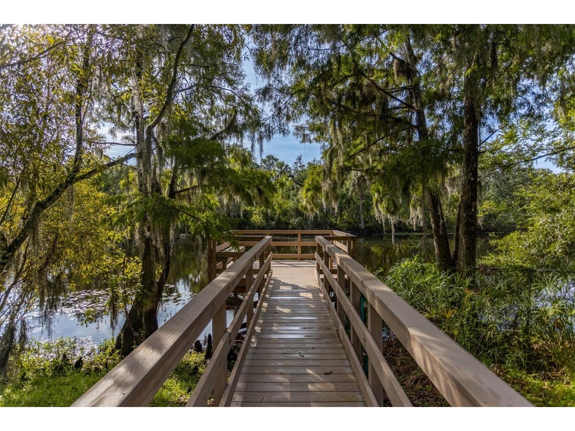 11407 Orilla Del Rio Place Temple Terrace FL 33617 - HILLSBOROUGH RIVER TB8414686 image30