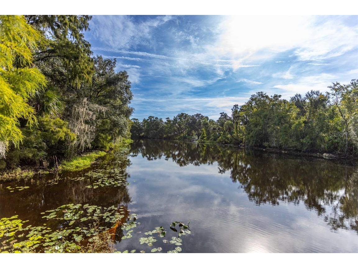 11407 Orilla Del Rio Place Temple Terrace FL 33617 - HILLSBOROUGH RIVER TB8414686 image32